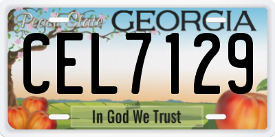GA license plate CEL7129