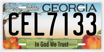 GA license plate CEL7133