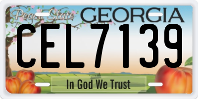 GA license plate CEL7139