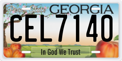 GA license plate CEL7140