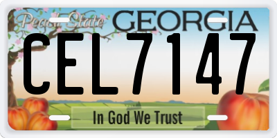 GA license plate CEL7147