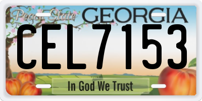 GA license plate CEL7153