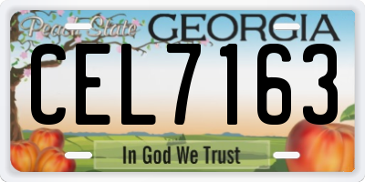 GA license plate CEL7163