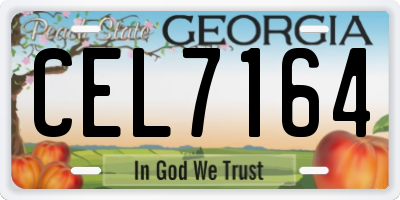 GA license plate CEL7164