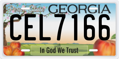 GA license plate CEL7166