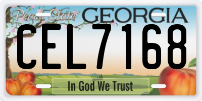 GA license plate CEL7168