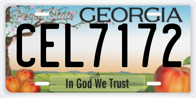 GA license plate CEL7172