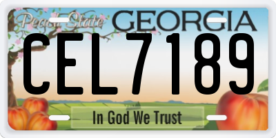 GA license plate CEL7189