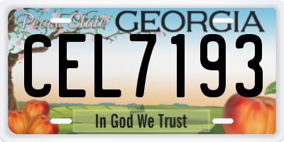 GA license plate CEL7193
