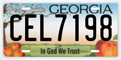 GA license plate CEL7198