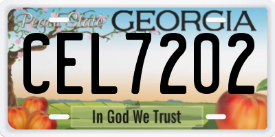 GA license plate CEL7202