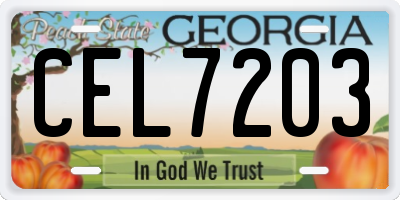 GA license plate CEL7203