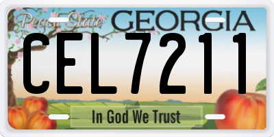 GA license plate CEL7211
