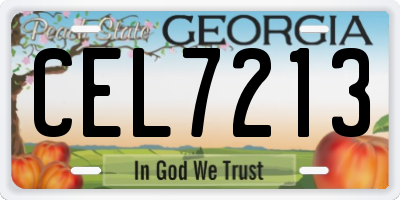 GA license plate CEL7213