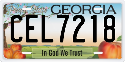 GA license plate CEL7218