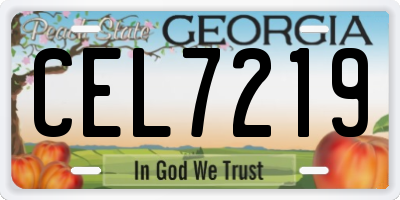 GA license plate CEL7219