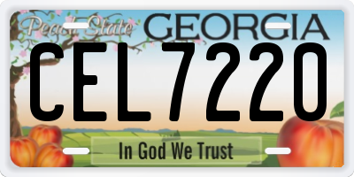 GA license plate CEL7220