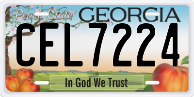 GA license plate CEL7224