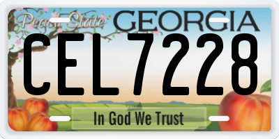 GA license plate CEL7228