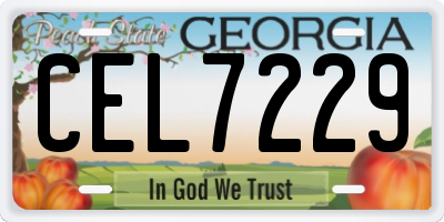 GA license plate CEL7229