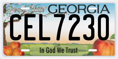 GA license plate CEL7230