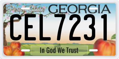 GA license plate CEL7231