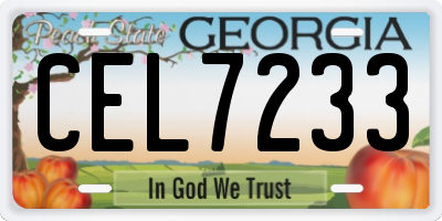 GA license plate CEL7233