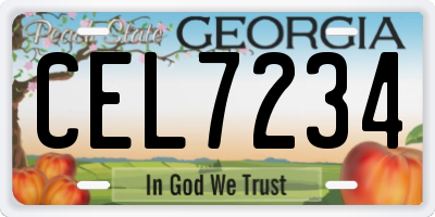 GA license plate CEL7234
