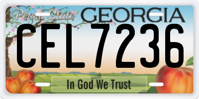 GA license plate CEL7236