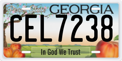 GA license plate CEL7238