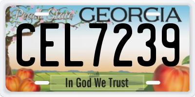 GA license plate CEL7239