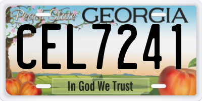 GA license plate CEL7241