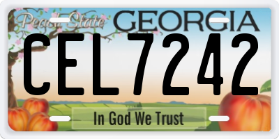 GA license plate CEL7242