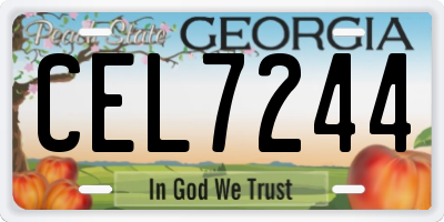 GA license plate CEL7244