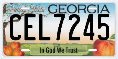 GA license plate CEL7245