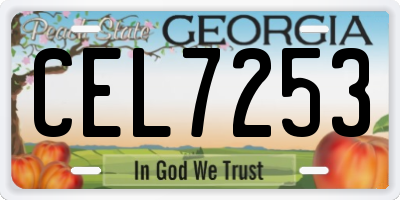 GA license plate CEL7253