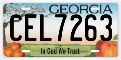 GA license plate CEL7263