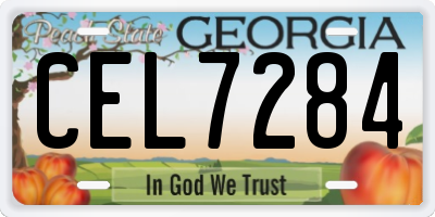 GA license plate CEL7284
