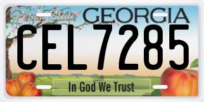 GA license plate CEL7285