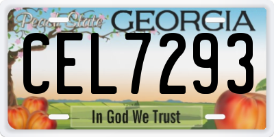 GA license plate CEL7293