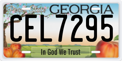 GA license plate CEL7295