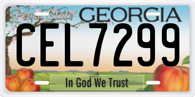 GA license plate CEL7299