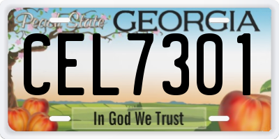 GA license plate CEL7301
