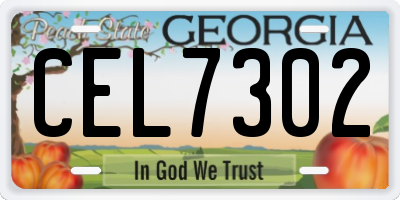 GA license plate CEL7302