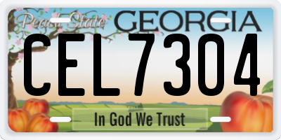GA license plate CEL7304