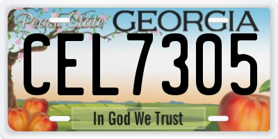 GA license plate CEL7305