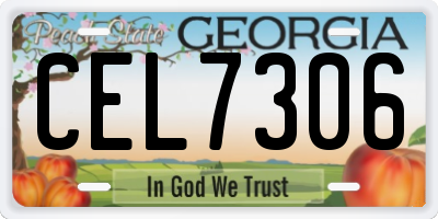 GA license plate CEL7306