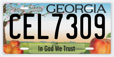 GA license plate CEL7309