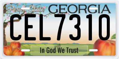 GA license plate CEL7310
