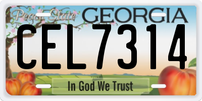 GA license plate CEL7314